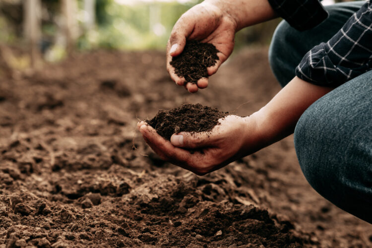 Why And How To Test Soil Quality